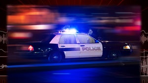 L.A. County Sheriff's Deputy Has Sex at Universal and Recorded on Open Mic