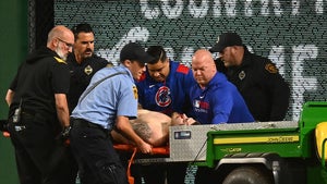 cubs fan falling getty