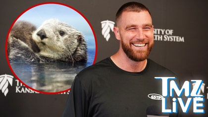 081525_tmz_live_kelce_otter