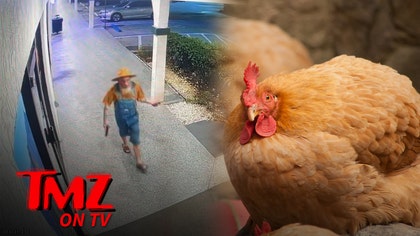 man-chicken-tmz-tv