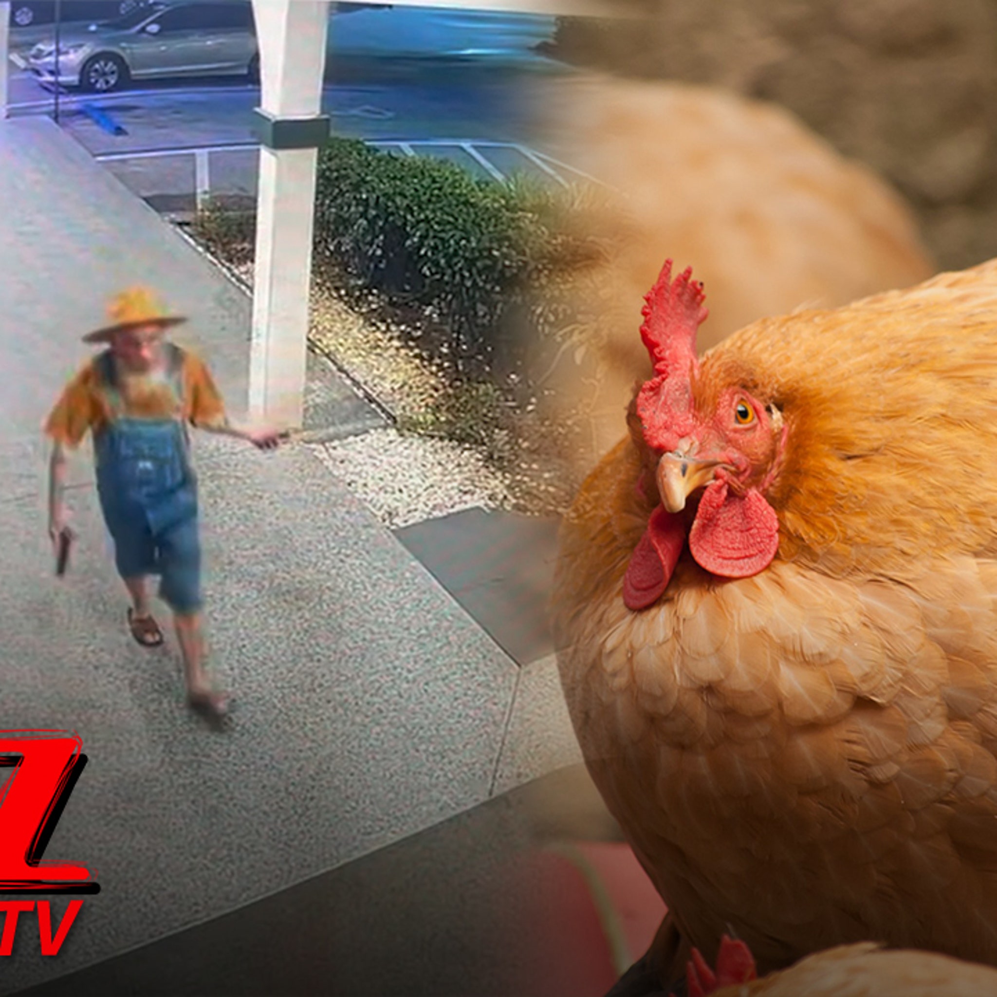 d991a476edc4471786db6e762d5801