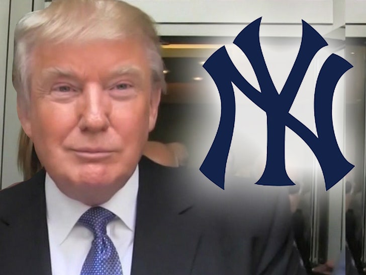 0728 donald trump yankees tmz