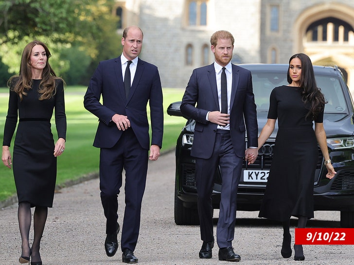 Prince Harry Says Brother William Attacked Him After Shooting Meghan Markle