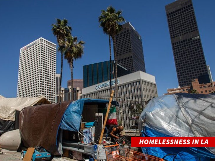personas sin hogar en Los Ángeles