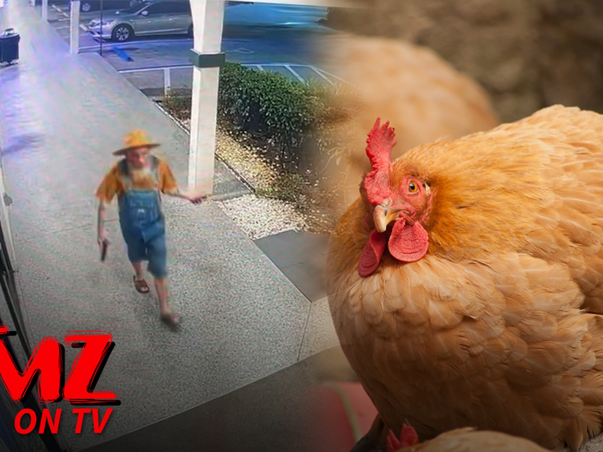 d991a476edc4471786db6e762d5801