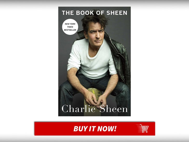 O-Livro-de-Sheen-Um-Memoir-Gift-Guide-Pop-Culture-Gift-Top