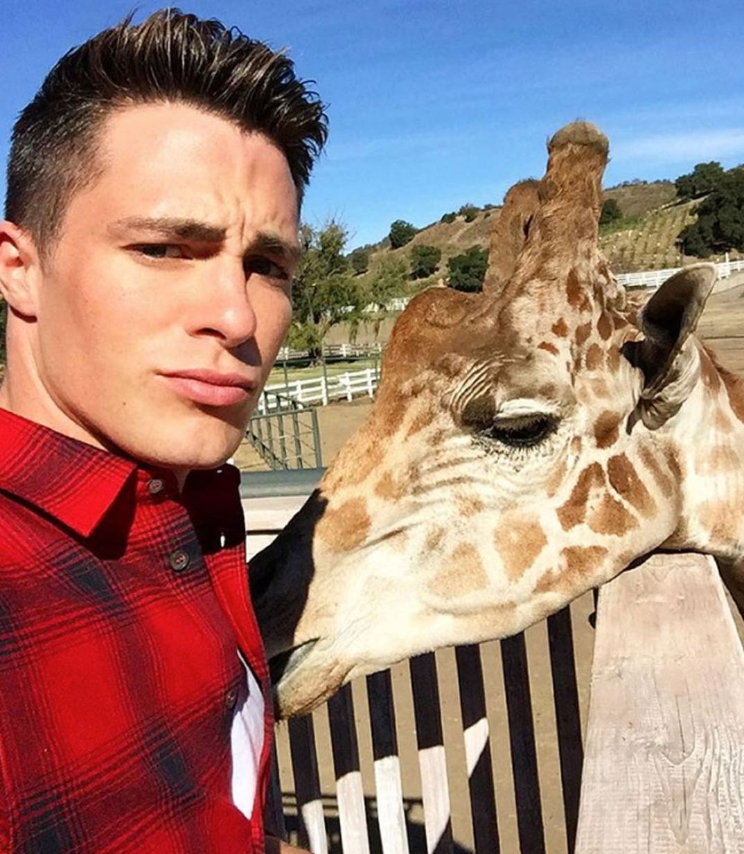 Colton Haynes