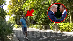 040226 tiger woods bodycam trump primary2