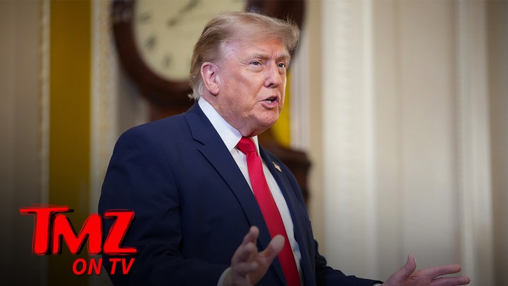 donald-trump-reflecting-pool-tmz-tv
