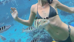 0831-Abby-Champion-Underwater-Stars-Guess-Who-hero