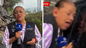 100226 reporter hit by car primary