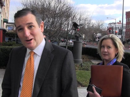 121114_ted_cruz_primary