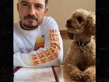 0719 orlando bloom dog instagram 01