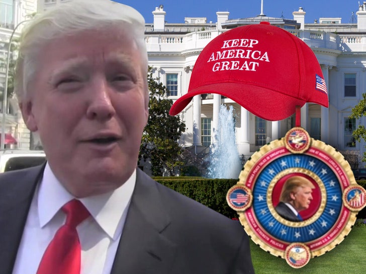 1124 donal trump pin and hat tmz comp 2