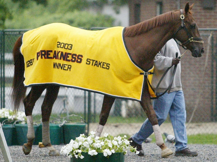 Funny Cide getty 2