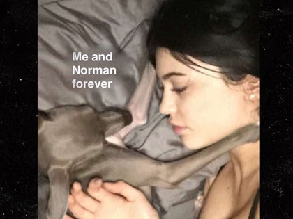 1022-Kylie-Jenner-Norman-Dog-PRIMARY