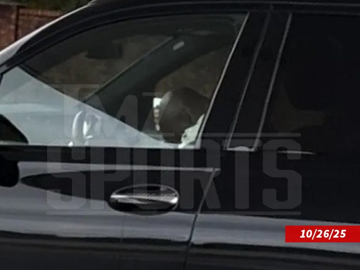 Adrian-Peterson-tmzsports-1