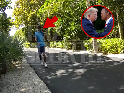 040226 tiger woods bodycam trump primary2