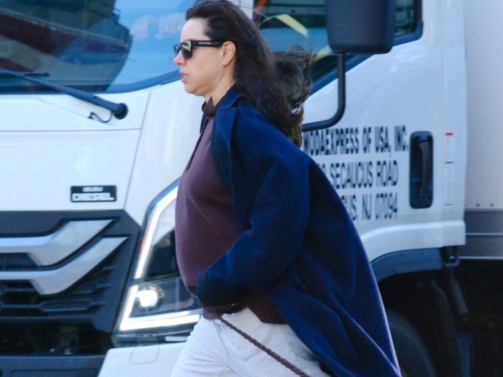 Aubrey Plaza Displays Baby Bump In New York City