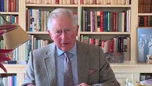 Prince Charles is 'On the Other Side' of Coronavirus Illness