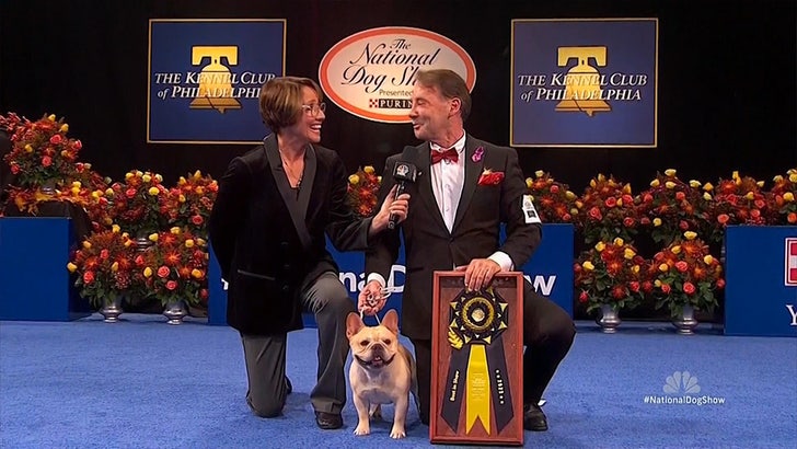 Winston the Bulldog Wins Top Honors at National Dog Show
