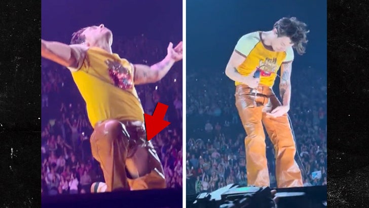 Harry Styles Rips Pants While Performing in Front of His Celeb Crush