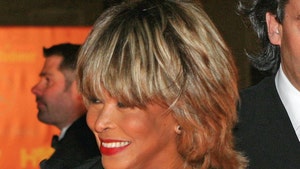 Tina Turner Music Sees Massive Spike on Streamers in Hours After Death