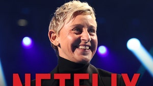 Ellen DeGeneres netflix getty 1