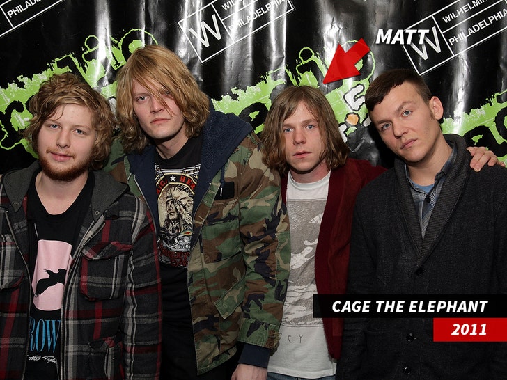 cage the elephant