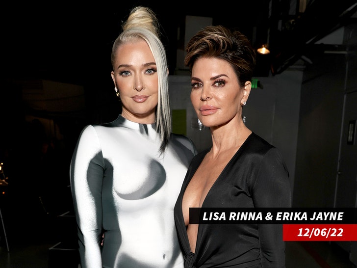 Erika Jayne Says Lisa Rinna Can’t Be Replaced on ‘RHOBH’
