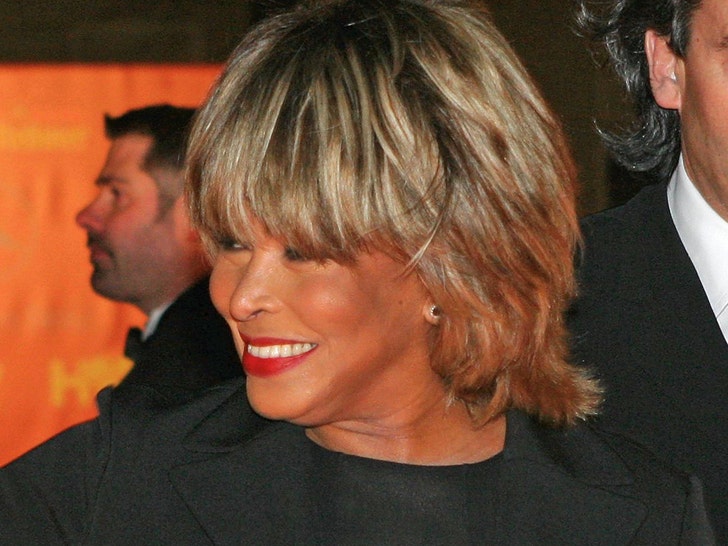 tina turner getty 1