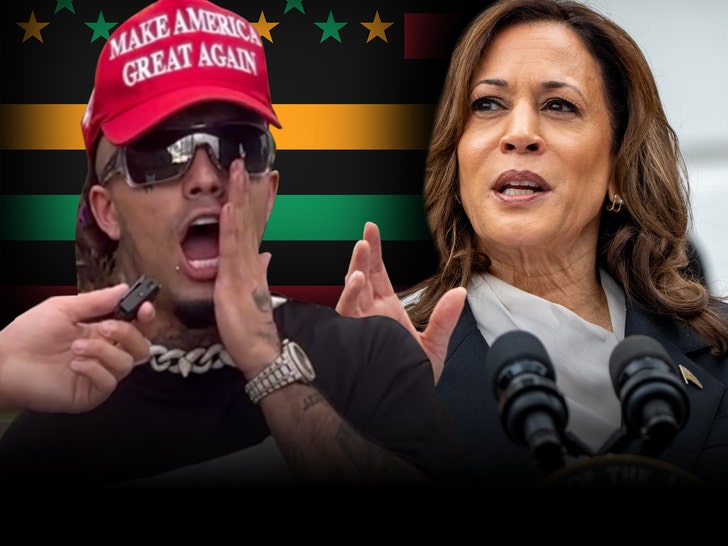 lil pump and kamala harris