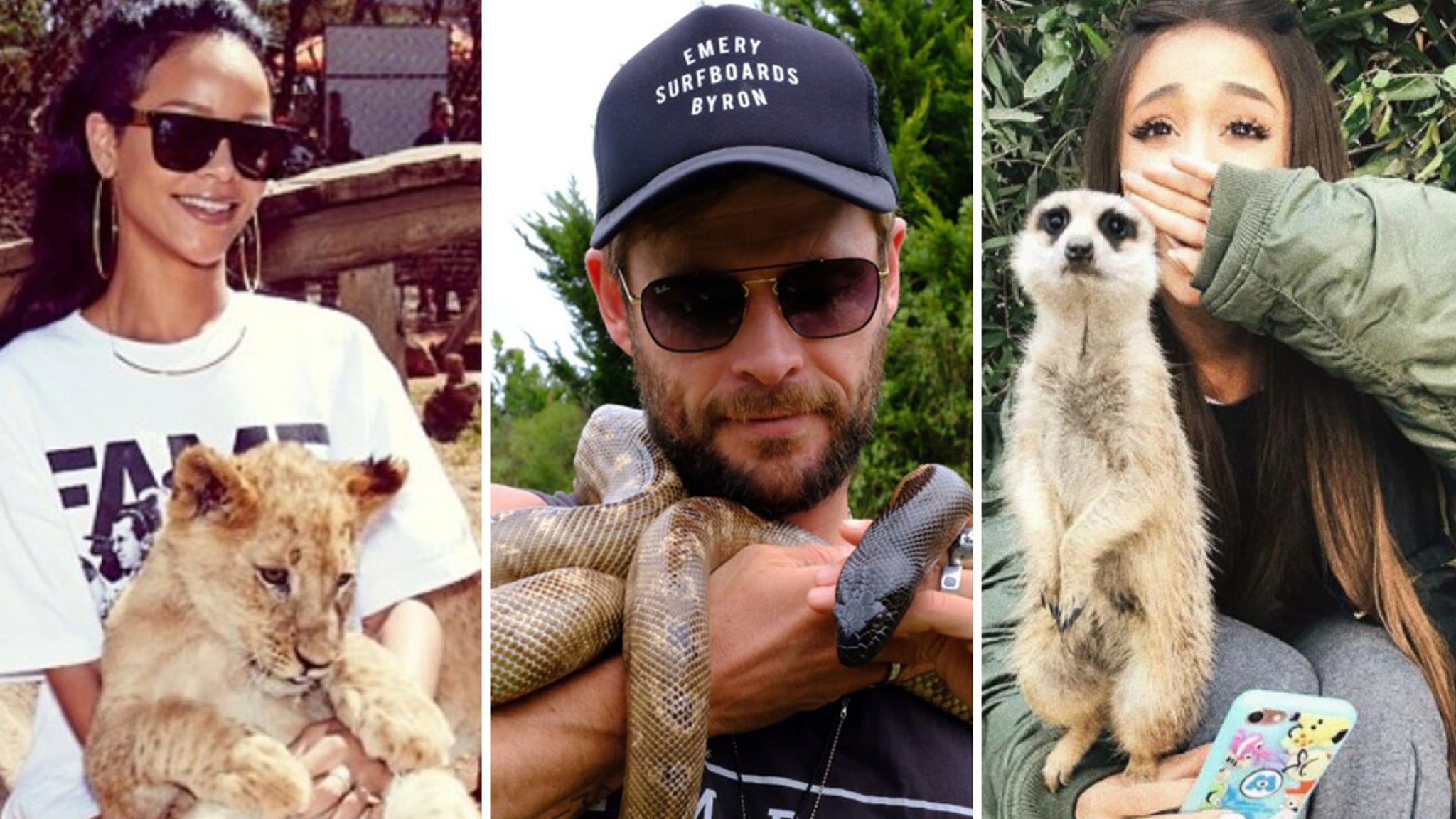 wildin-out-celebs-with-exotic-animals