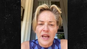 Sharon Stone Says Family Ravaged by COVID-19, Blames Trump, Montana Officials