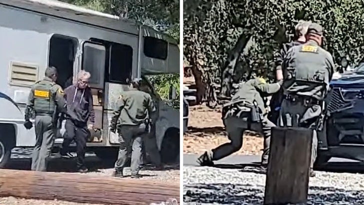 Andy Dick Arrested for Felony Sexual Battery on RV Live Stream.jpg