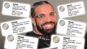 drake platnium getty 1