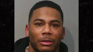 Nelly mug shot