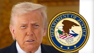 donald trump doj main getty