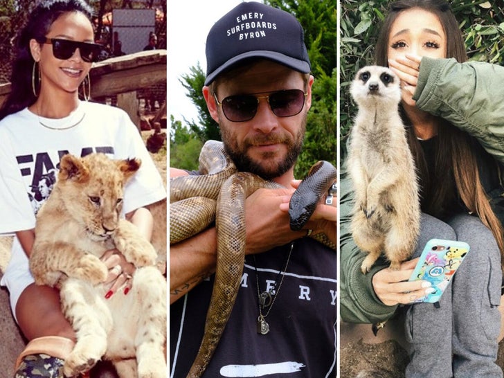 Wildin' Out Celebs With Exotic Animals