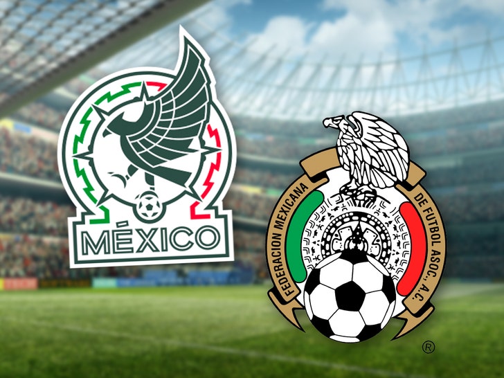 mexico national football team and federation