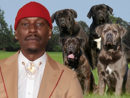 tyrese gibson cane corsos main getty