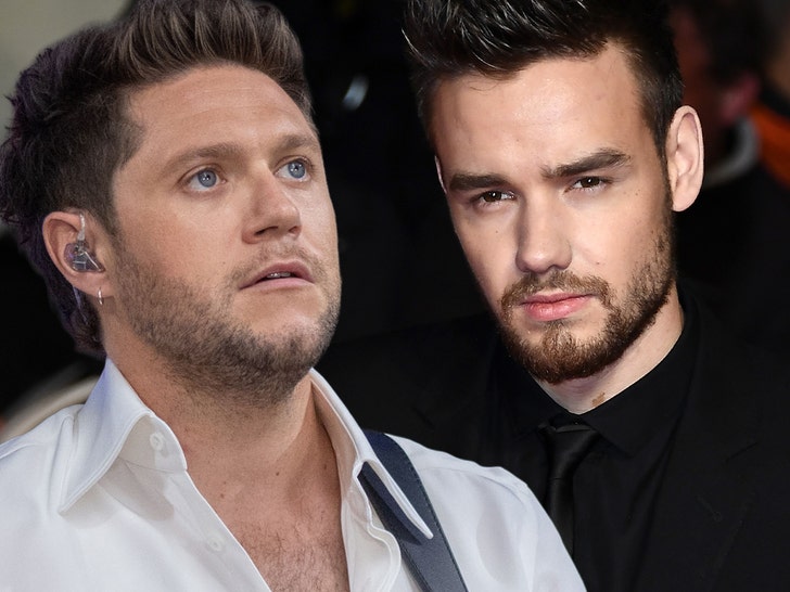 liam payne niall horan getty