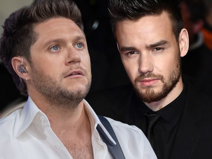 liam payne niall horan getty