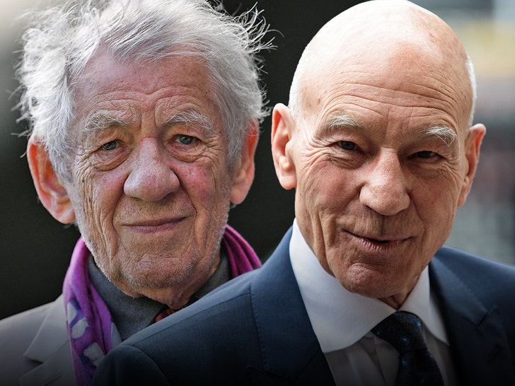 ian mckellen and patrick stewart getty 1