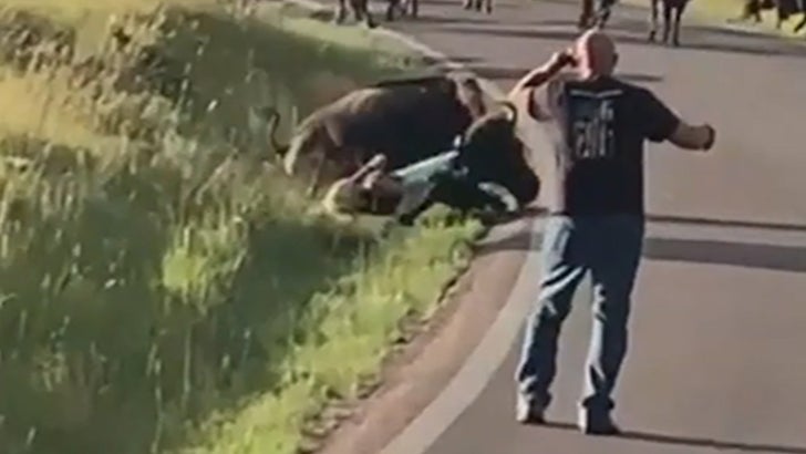 Bison Drags Woman by Her Pants in Wild Video