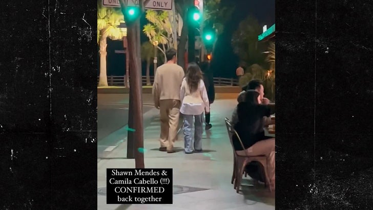 Shawn Mendes ve Camila Cabello, Coachella Buluşmasından Sonra Hala Güçleniyor