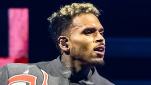 Chris Brown charged getty 1