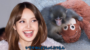 lisa blackpink punch main getty