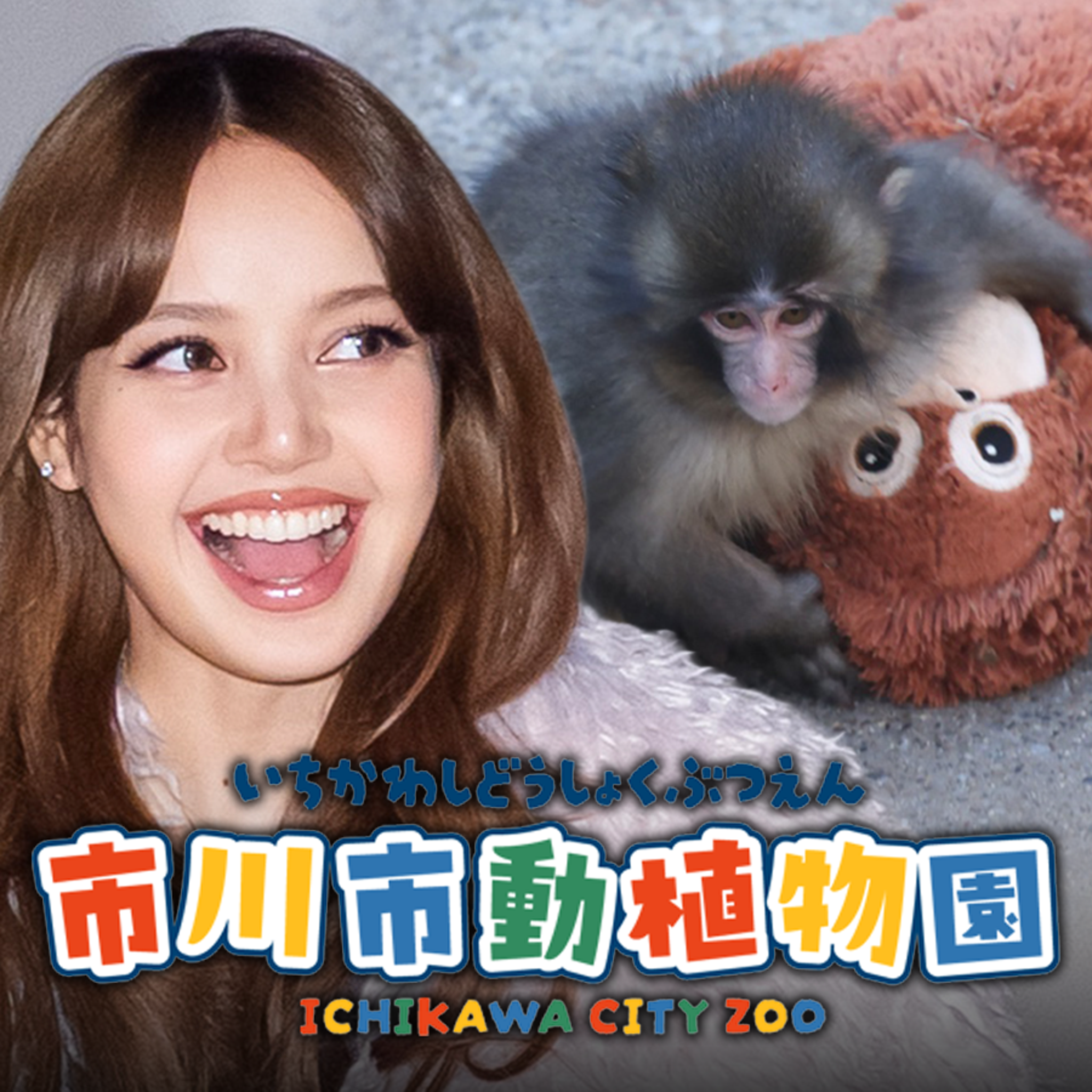 BLACKPINK's LISA Visits Punch the Monkey, Brings Orangutan Stuffed