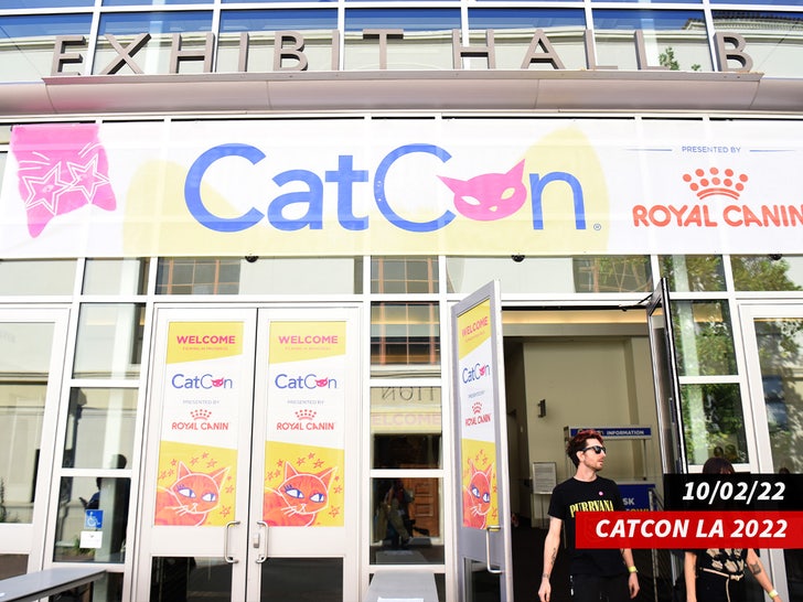 catcon los angeles sub 2